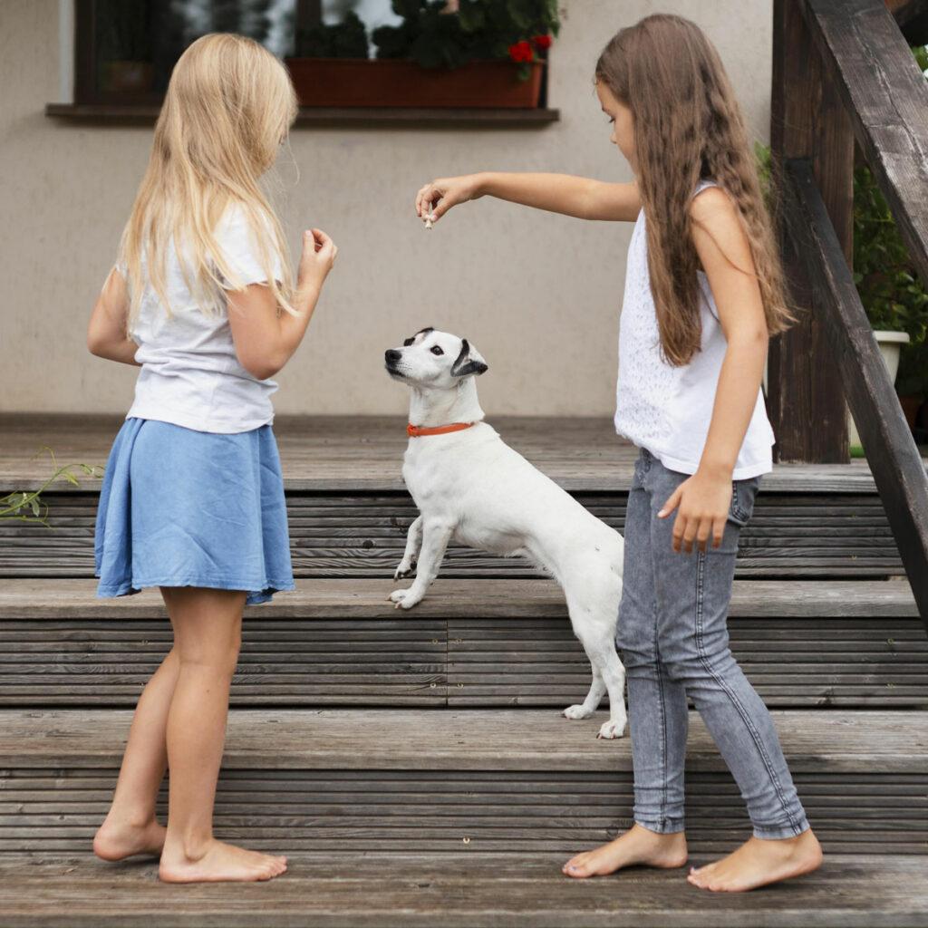 Erziehung von Hunden funktioniert am besten mit Leckerli