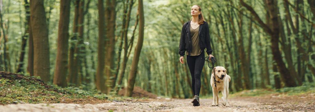 Frau mit Hund an der Leine im Wald beim entspannten Spaziergang