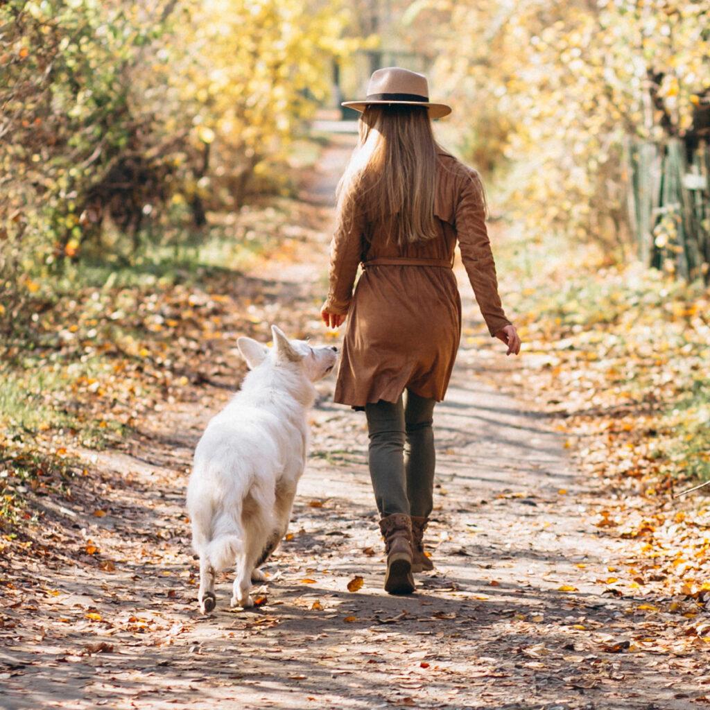 Ein gut erzogener Hund geht auch im Wald bei Fuß.