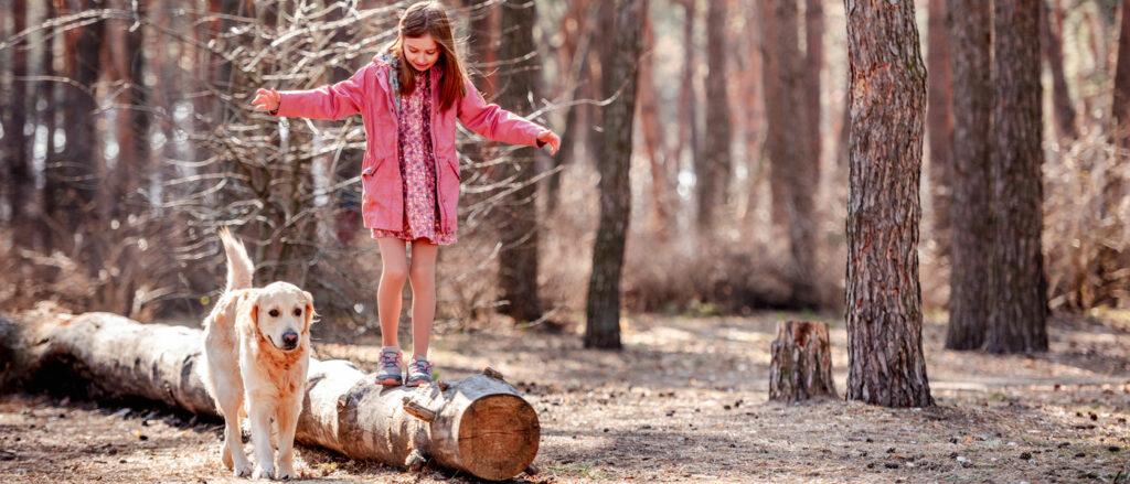 Mädchen geht mit Hund im Wald spielerisch spazieren