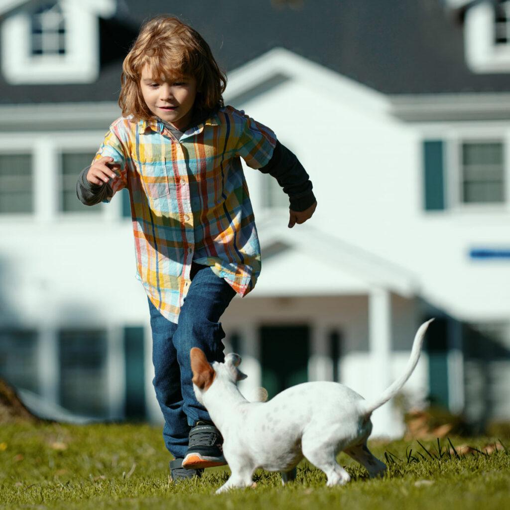 Junge tobt mit Hund durch den Garten